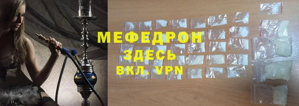 индика Вяземский