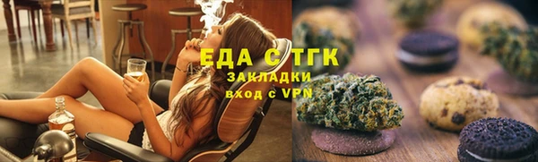 индика Вяземский
