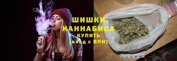 индика Вяземский