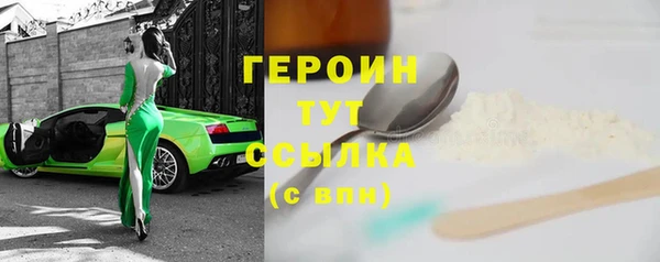 индика Вяземский