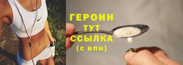 индика Вяземский