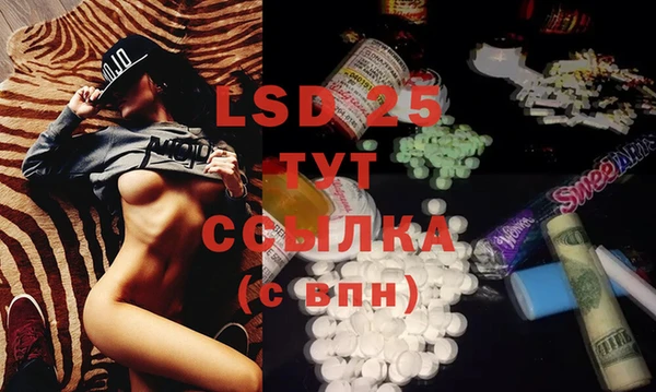 индика Вяземский