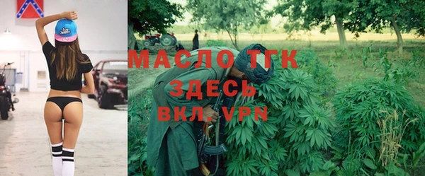 индика Вяземский