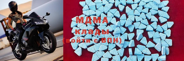 индика Вяземский