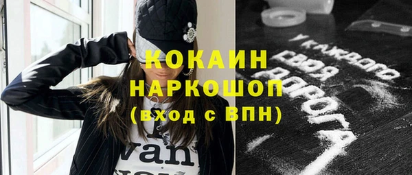 индика Вяземский
