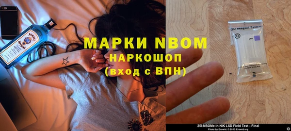 индика Вяземский