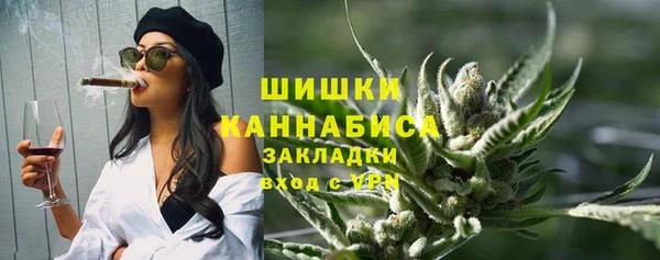 индика Вяземский