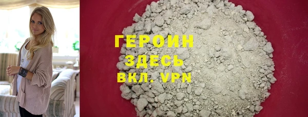 индика Вяземский