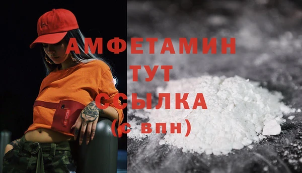 индика Вяземский
