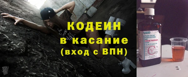 индика Вяземский
