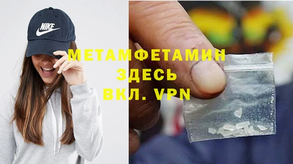 индика Вяземский