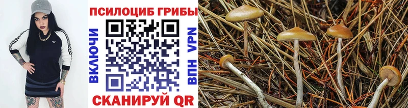 Галлюциногенные грибы прущие грибы Мезень